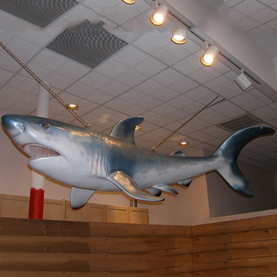 large resin  light weight shark sculpture